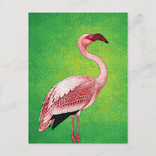 Rosa Flamingo på Retro Grönt Mönster Vykort
