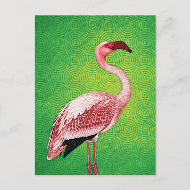 Rosa Flamingo på Retro Grönt Mönster Vykort (Framsida)