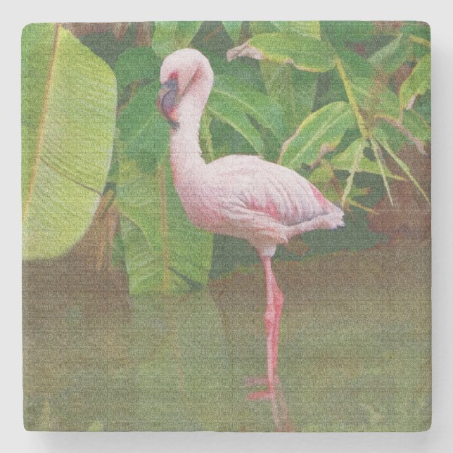 Rosa Flamingo på sjön i Florida Underlägg Sten (Framsidan)