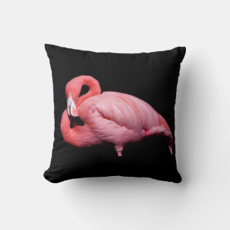 Rosa Flamingo på Svart Kudde