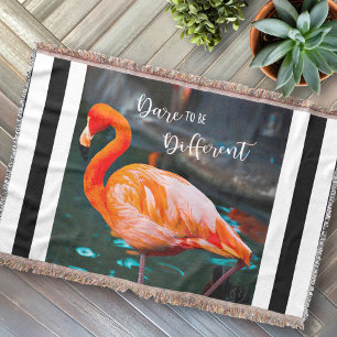 Rosa Flamingo Photo Black White Rand Dare Citat Filt