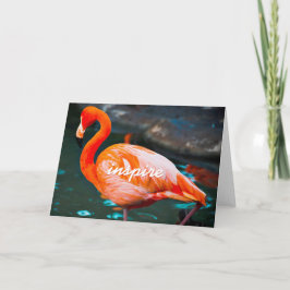 Rosa Flamingo Photo Inspire Snyggt Modern Kort