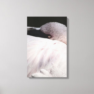 Rosa Flamingo Porträtt Ritning Effekt Konst Canvastryck