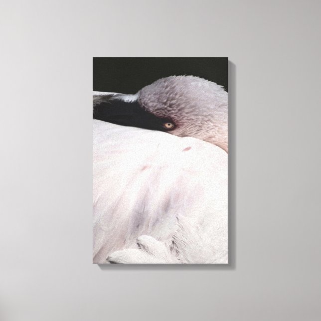 Rosa Flamingo Porträtt Ritning Effekt Konst Canvastryck (Framsida)