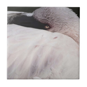 Rosa Flamingo Porträtt Ritning Effekt Konst Kakelplatta