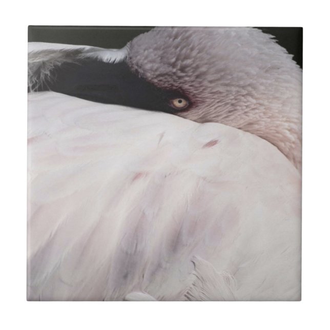 Rosa Flamingo Porträtt Ritning Effekt Konst Kakelplatta (Framsidan)