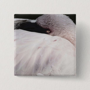 Rosa Flamingo Porträtt Ritning Effekt Konst Knapp