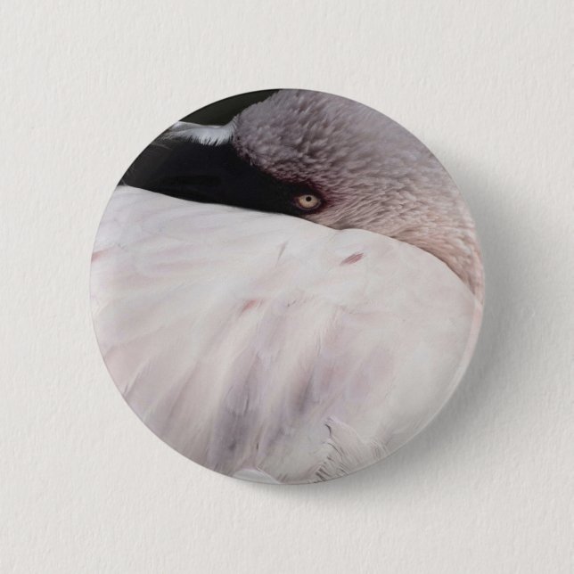 Rosa Flamingo Porträtt Ritning Effekt Konst Knapp (Framsida)