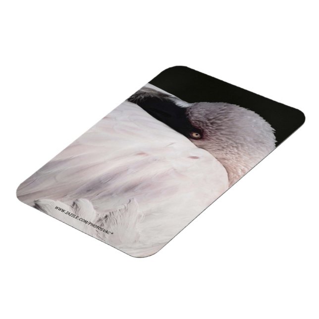 Rosa Flamingo Porträtt Ritning Effekt Konst Magnet (Vänstra Sidan)
