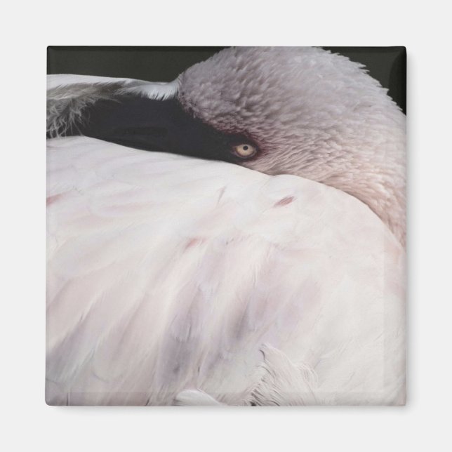 Rosa Flamingo Porträtt Ritning Effekt Konst Magnet (Framsidan)