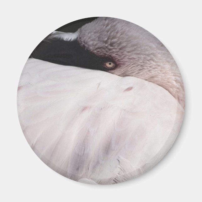 Rosa Flamingo Porträtt Ritning Effekt Konst Magnet (Framsidan)