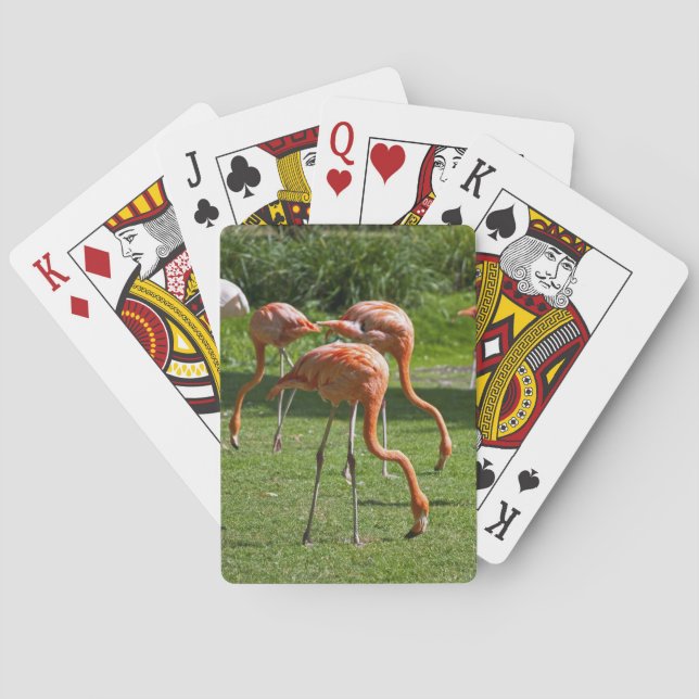 Rosa Flamingo Porträtt Ritning Effekt Konst Spel Kort (Baksidan)