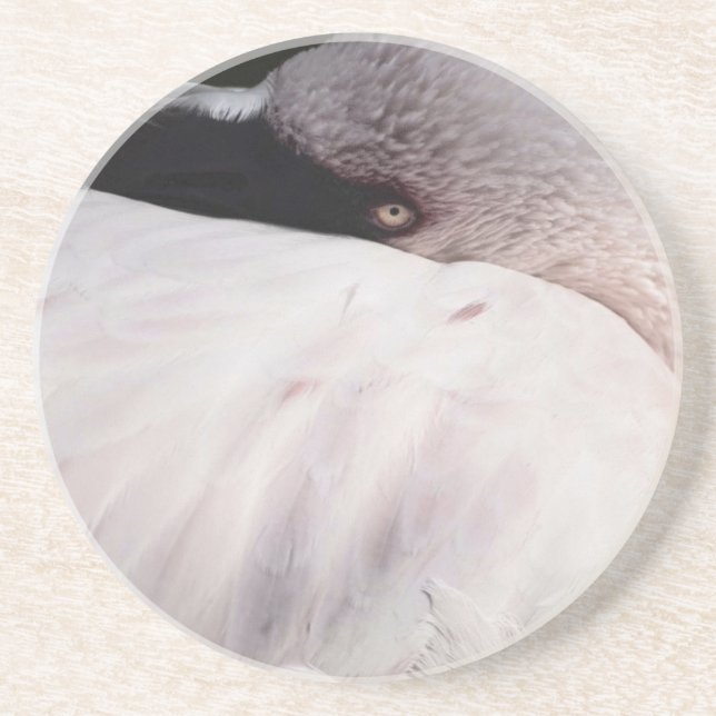 Rosa Flamingo Porträtt Ritning Effekt Konst Underlägg Sandsten (Framsidan)
