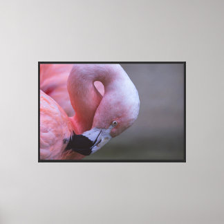 Rosa Flamingo Porträtt Sträckt Canvastryck