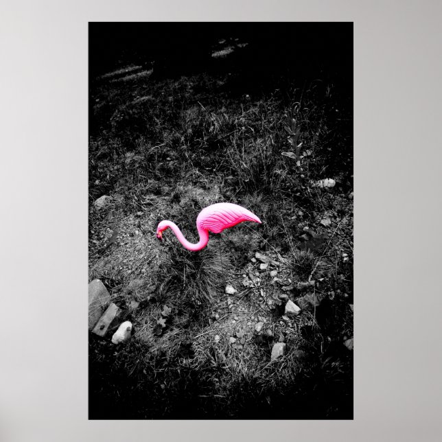 rosa flamingo poster (Framsidan)