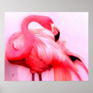 Rosa Flamingo Poster