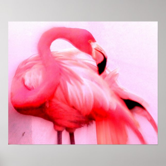 Rosa Flamingo Poster (Framsidan)