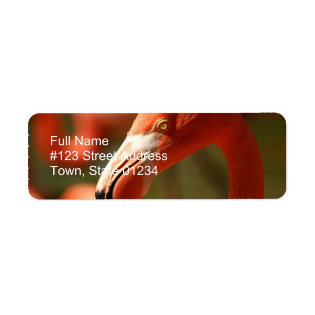 Rosa Flamingo Return Address Label Returadress Etikett (Framsidan)