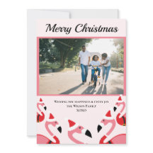 Rosa Flamingo Santa Photo jul