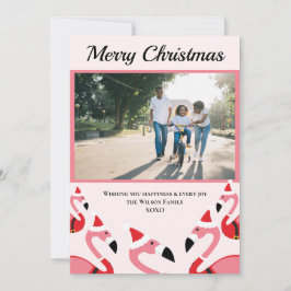 Rosa Flamingo Santa Photo jul