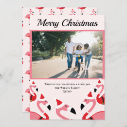 Rosa Flamingo Santa Photo jul