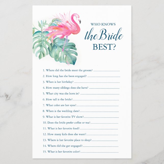 Rosa Flamingo som känner till bästa spel Flygblad (Framsidan)