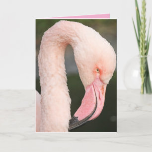 ROSA FLAMINGO STAY FABULOUS BIRTHDAY Card Tack Kort