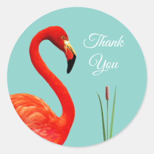 Rosa Flamingo Tack Klassisk Rund Klistermärke
