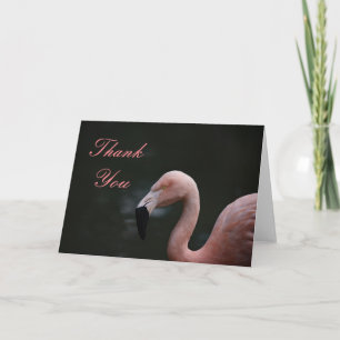 Rosa Flamingo Tack Kort