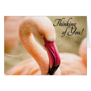 Rosa Flamingo tänker på dig Tom insida Hälsningskort