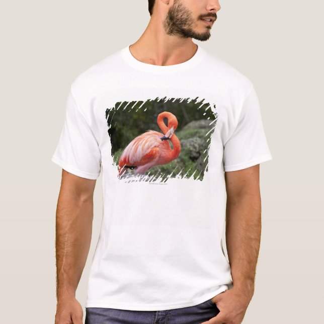 Rosa Flamingo Tee Shirt (Framsida)