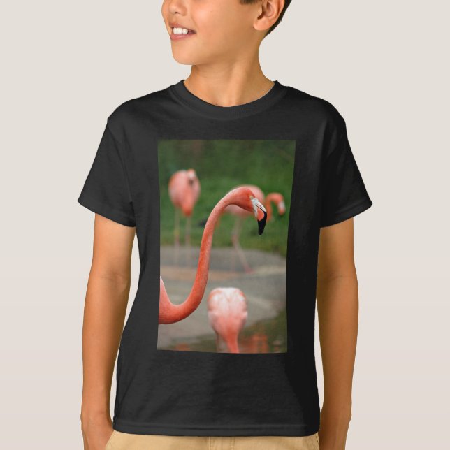 Rosa Flamingo Tee Shirt (Framsida)