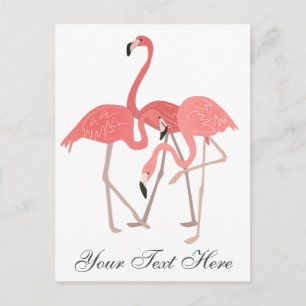 Rosa Flamingo Trio Vykort