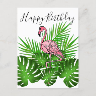 Rosa Flamingo, tropisk djungel födelsedag Vykort