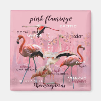 Rosa Flamingo Typography | Anpassad Magnet