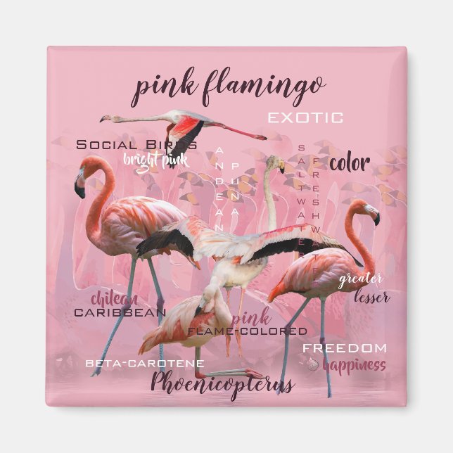 Rosa Flamingo Typography | Anpassad Magnet (Framsidan)