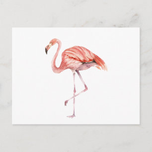 Rosa Flamingo Vykort