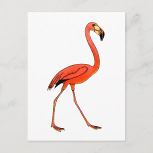 Rosa Flamingo Vykort