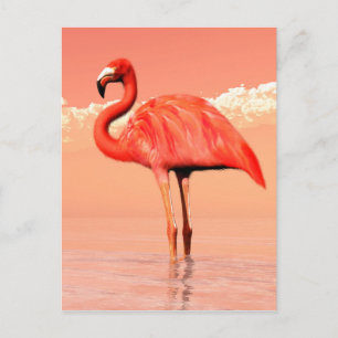 Rosa flamingo vykort