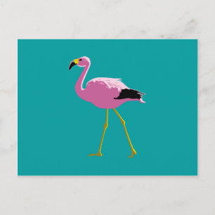 Rosa Flamingo Vykort