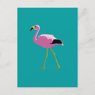 Rosa flamingo vykort