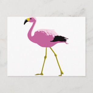 Rosa Flamingo Vykort