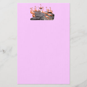 Rosa Flamingobrevpapper Brevpapper