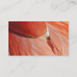 Rosa FlamingoCloseupvisitkort Visitkort