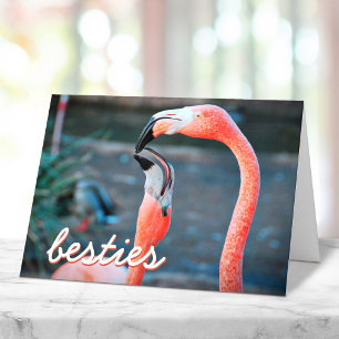 Rosa flamingofåglar Foto Bästa vänner Skript Stili Kort