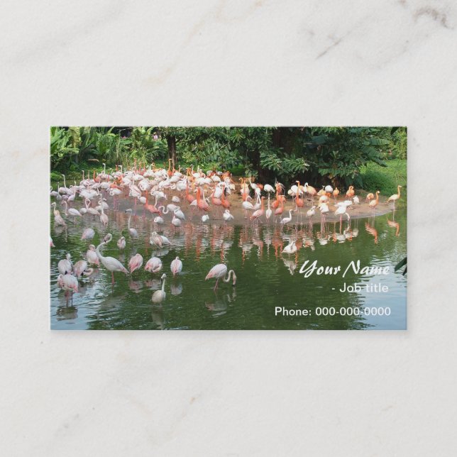 rosa flamingoflock visitkort (Framsida)