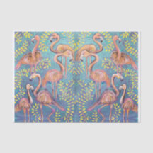 rosa flamingos