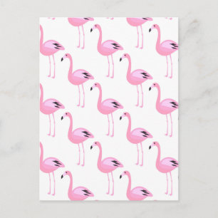 Rosa Flamingos 2 2 2 Vykort