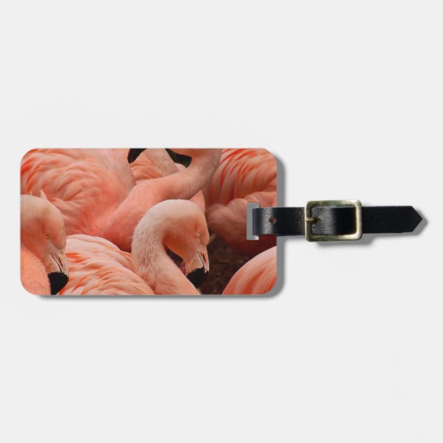 Rosa flamingos bagagebricka (Horisontell Framsida)
