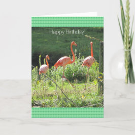 Rosa Flamingos Birthday Greetings Kort